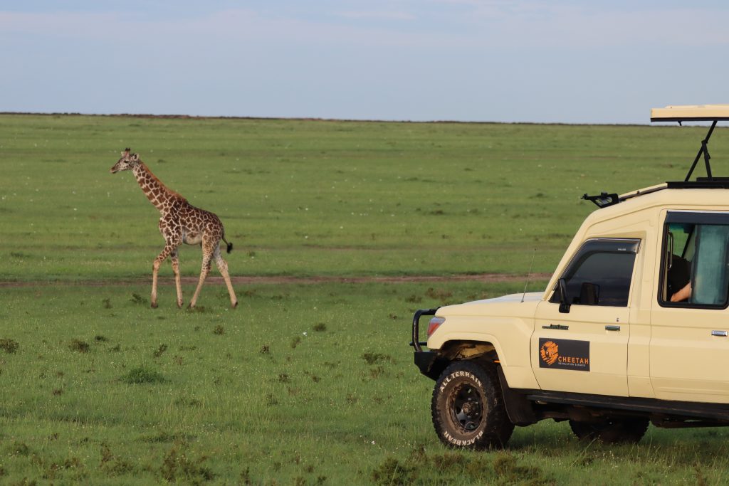 Best Interesting Facts about Masai Mara National Reserve